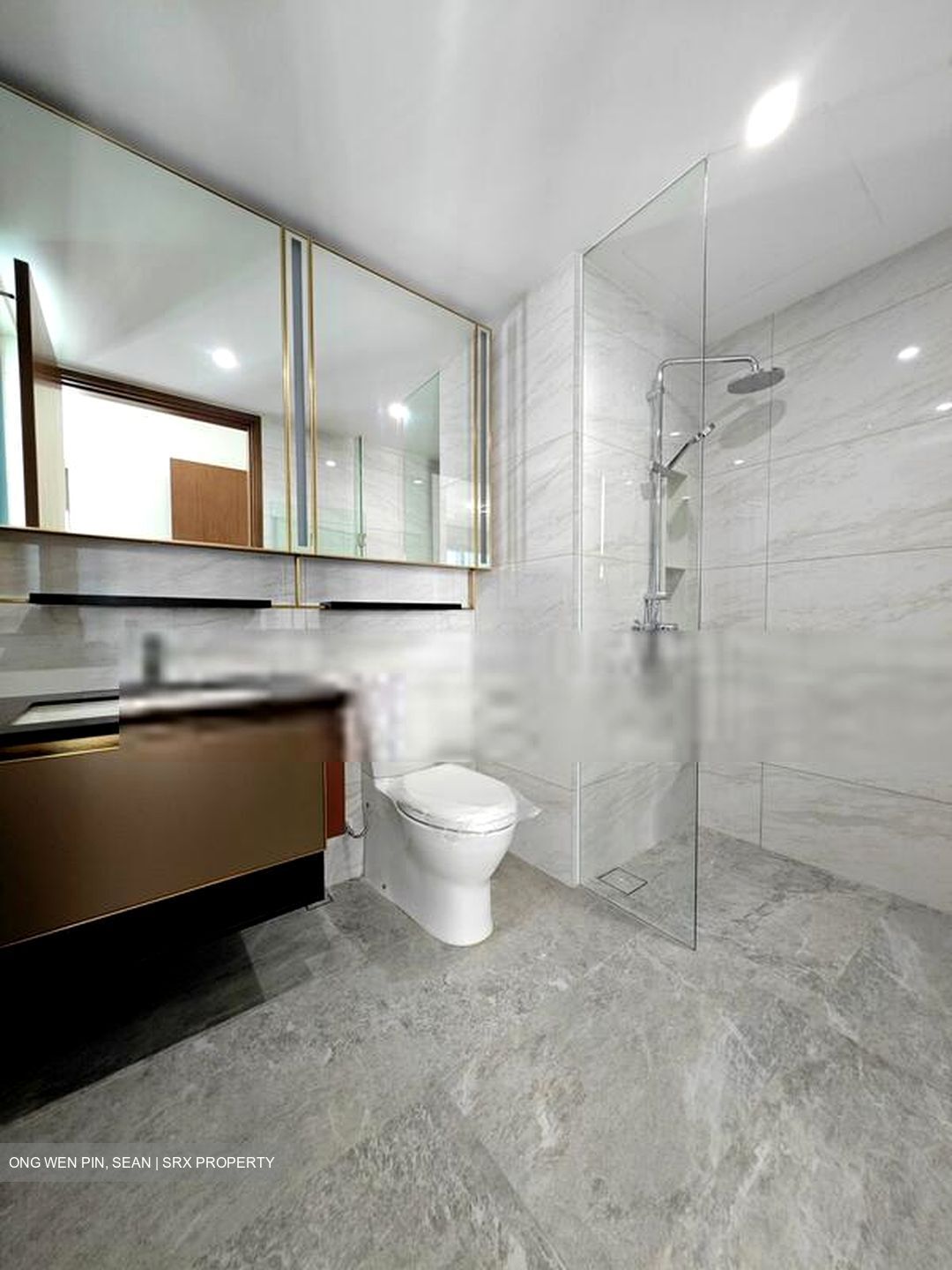 Normanton Park (D5), Apartment #467720151